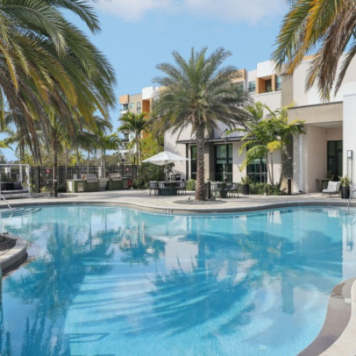 Outdoor pool with palm trees