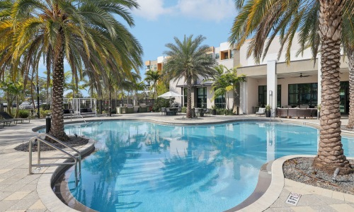Outdoor swiming pool with blue water and palm trees