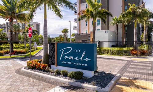 the pomelo sign with palm trees